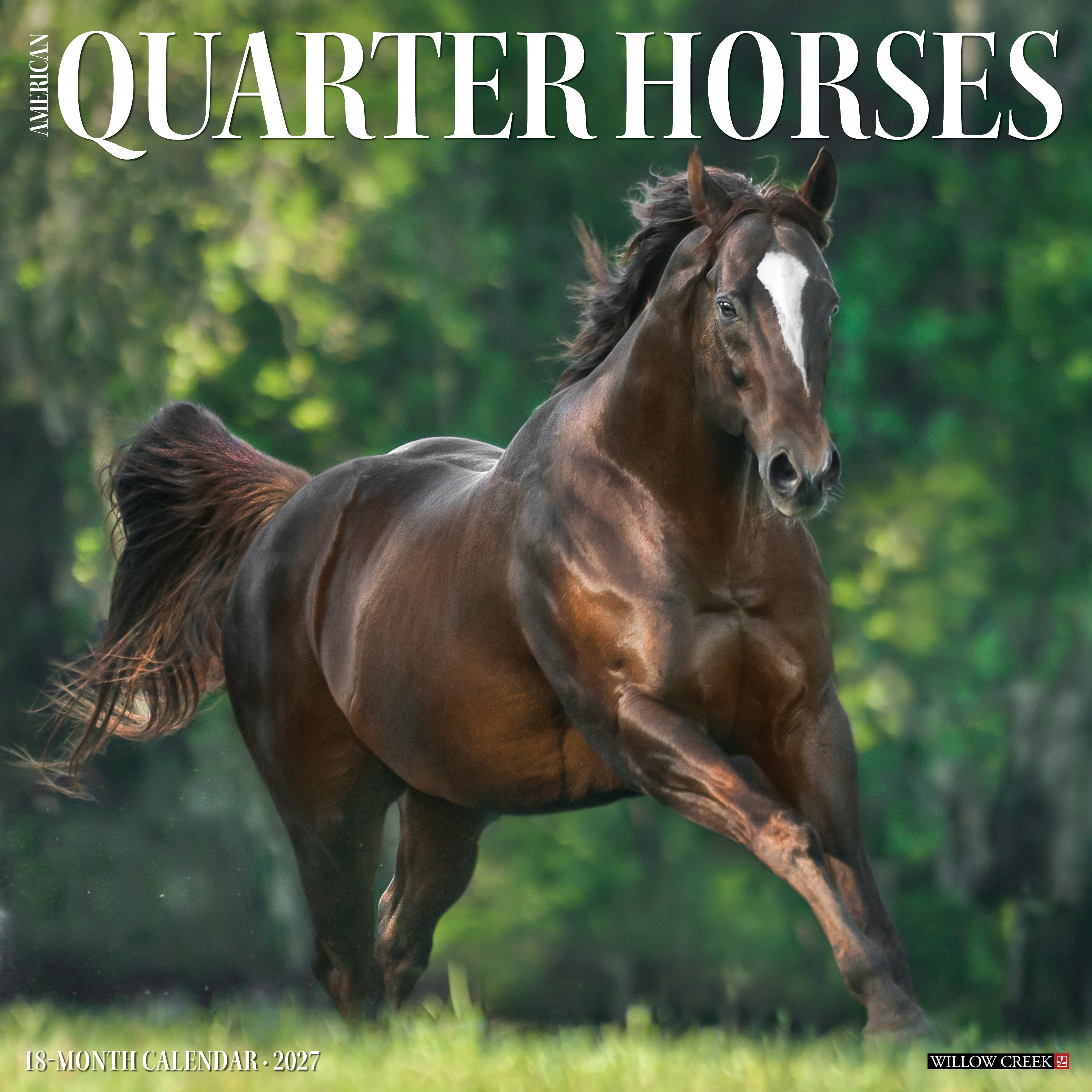 Willow Creek Press, American Quarter Horses 2027 Wall Calendar