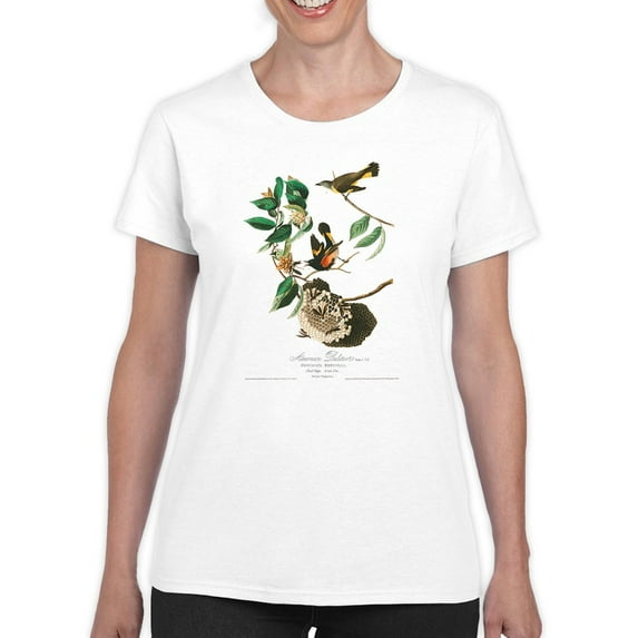 American Redstart Birds T-Shirt Women -John James Audubon Designs, Female 3X-Large