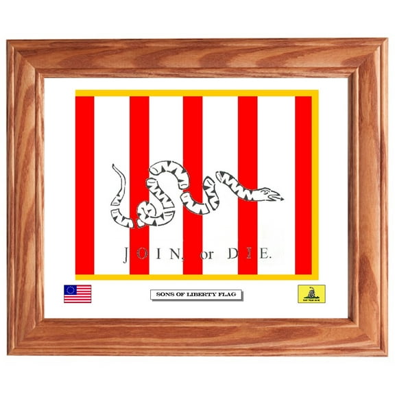 American Revolution. Framed Sons of Liberty Flag