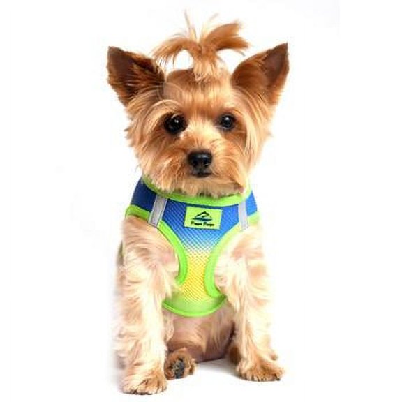 American River Choke-Free Dog Harness - Cobalt Sport Ombre XX-Small