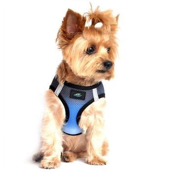 American River Choke-Free Dog Harness - Midnight Sky Ombre 2X-Large