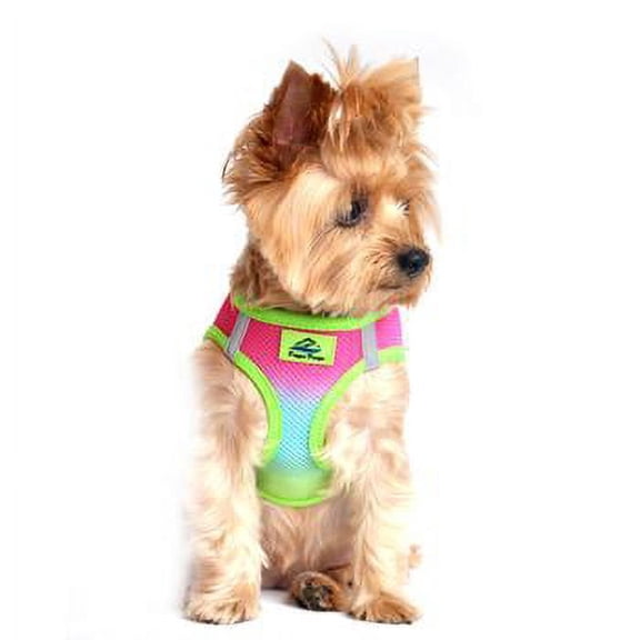 American River Choke-Free Dog Harness - Rainbow Ombre 2X/3X-Large