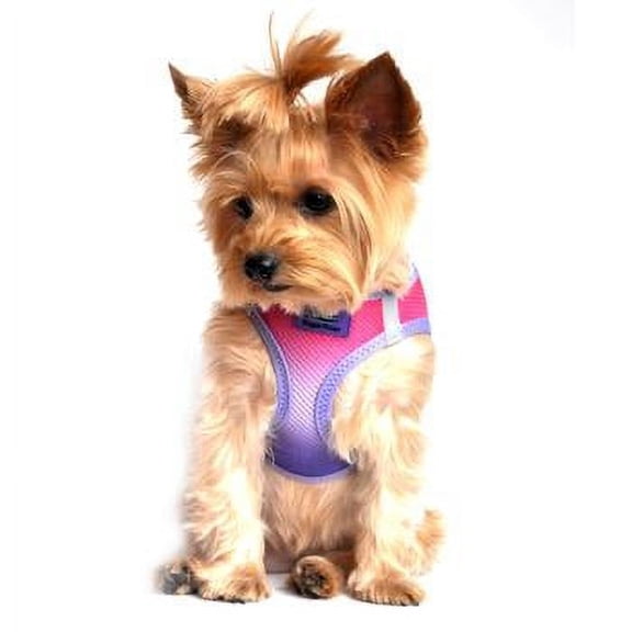 American River Choke-Free Dog Harness - Raspberry Sundae Ombre 2X/3X-Large