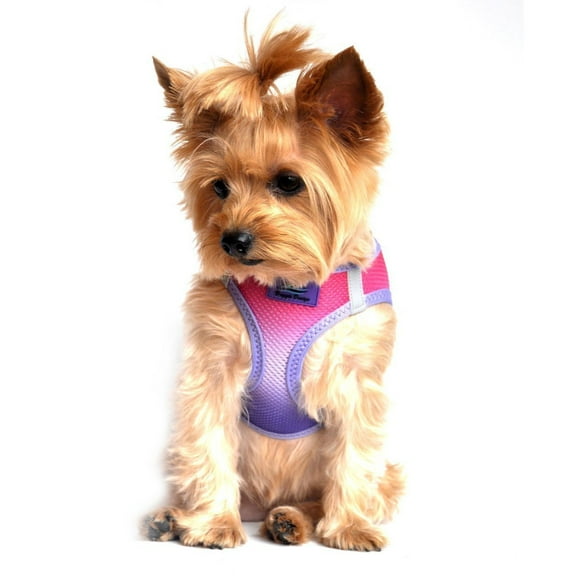 American River Choke-Free Dog Harness by Doggie Design - Raspberry Sundae Ombre - 3X-Large
