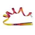 thumbnail image 1 of American River Ombre Leash - Raspberry Pink and Orange, 1 of 2