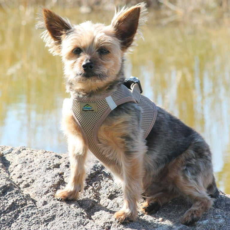 American River Ultra Choke-Free Mesh Dog Harness by Doggie Design