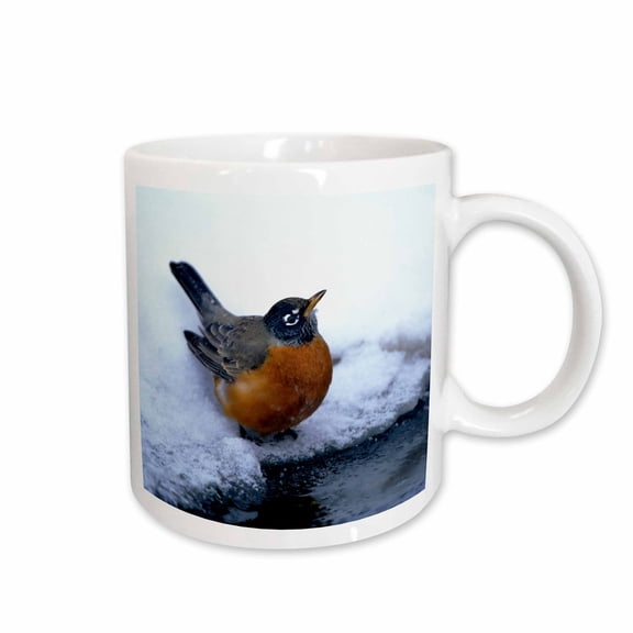 3drose, American Robin at Bird Bath, Water in Winter, 15oz Mug