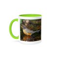 thumbnail image 1 of American Robin Bathing, Tower Grove Park, St. Louis Mo, 11oz Two-Tone Green Mug, 1 of 7