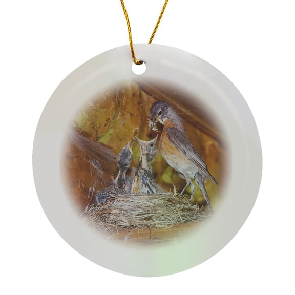 3drose, American Robin Bird Nest, Glacier Np, Montana - Na02 Rnu0329 - Rolf Nussbaumer, Circle Porcelain Ornament