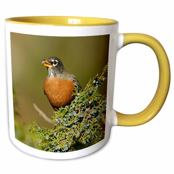 3drose, American Robin, Bird, Yellowstone Np, Wyoming - Na02 Rnu0339 - Rolf Nussbaumer, 11oz Two-tone Yellow Mug