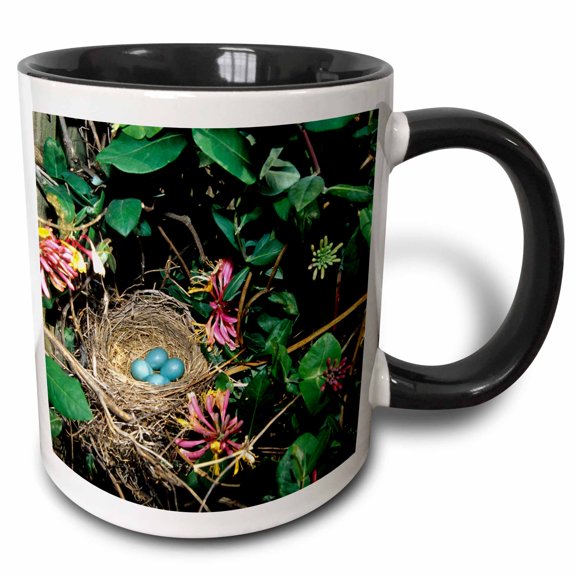 3drose, American Robin Nest with Four Eggs in Gold Flame Honeysuckle Vine., 11oz Two-tone Black Mug