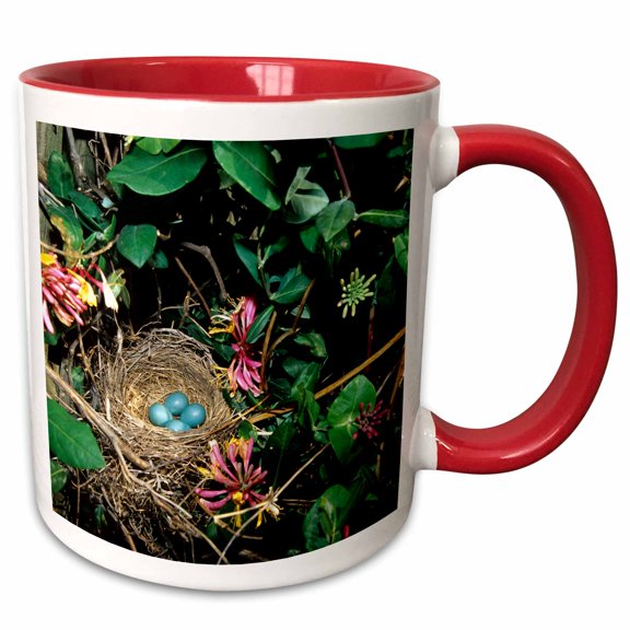 3drose, American Robin Nest with Four Eggs in Gold Flame Honeysuckle Vine., 11oz Two-tone Red Mug