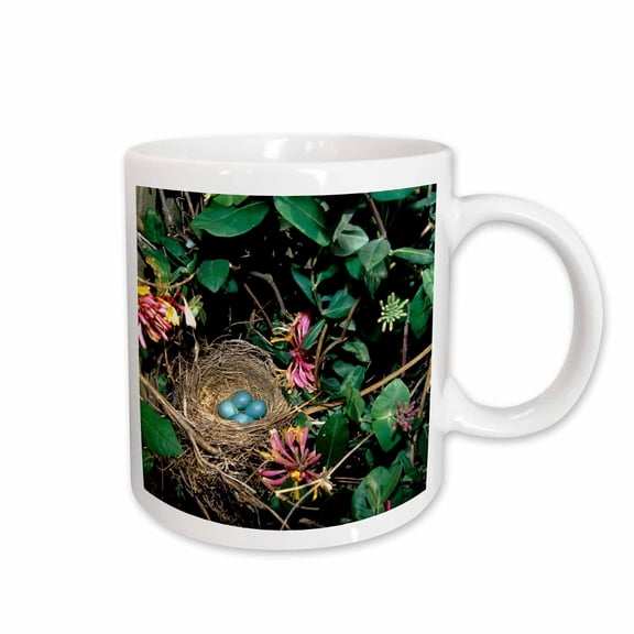 3drose, American Robin Nest with Four Eggs in Gold Flame Honeysuckle Vine., 15oz Mug