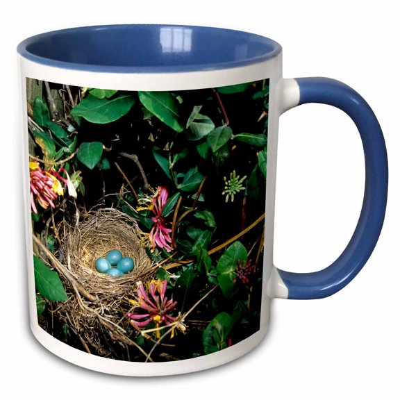 3drose, American Robin Nest with Four Eggs in Gold Flame Honeysuckle Vine., 15oz Two-tone Blue Mug