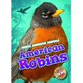 thumbnail image 1 of Pre-Owned American Robins (Hardcover) 9781626174009, 1 of 1