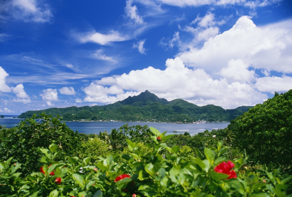 American Samoa Pago Pago Harbor Greenery And Flowers Clouds In Sky Canvas Art - Joe Carini Design Pics (38 x 24)