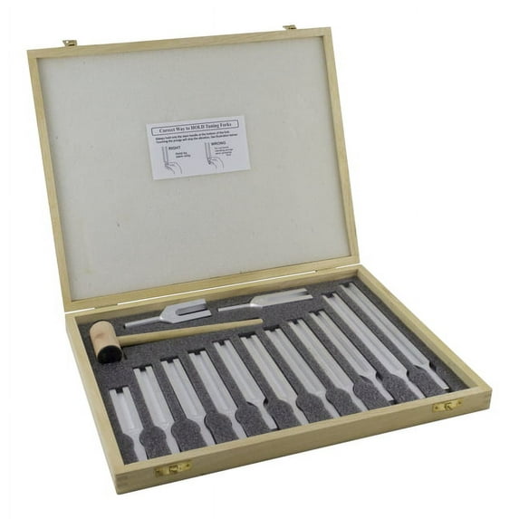 American Scientific Economy Tuning Forks with Mallet, Set of 13