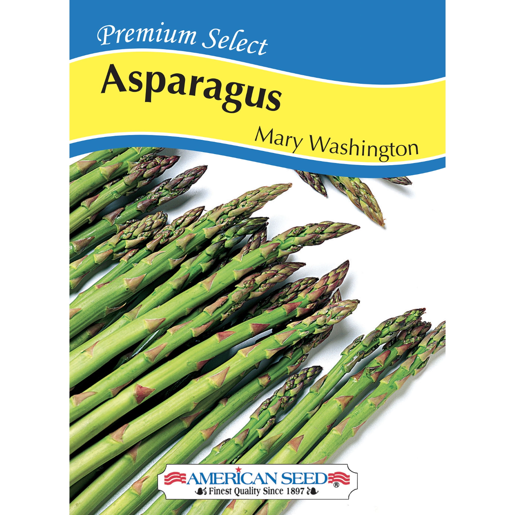 American Seed Asparagus Mary Washington Perennial Vegetable Seeds Full Sun