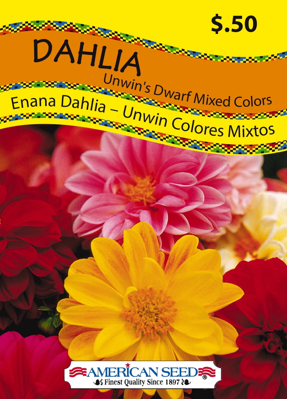 American Seed 1G Dahlia Unwins Ideal Bedding Mix Flower Seeds Full Sun