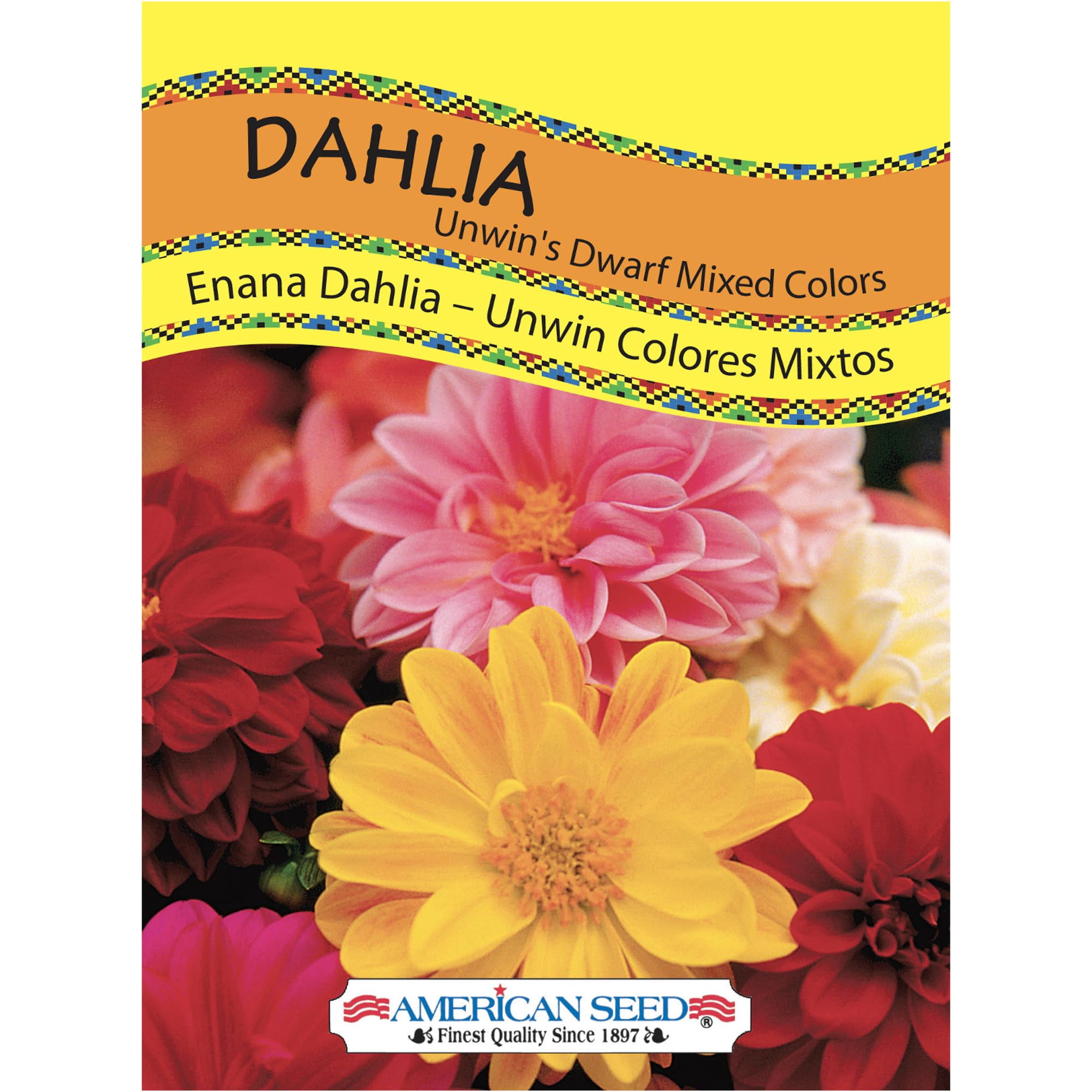 American Seed 100MG Dahlia Unwins Ideal Bedding Mix Annual Flower, Full Sun