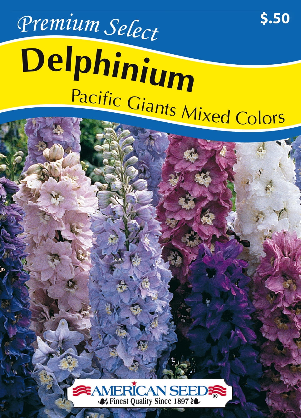 American Seed 1G Delphinium Pacific Giants Mixed Colors Perennial ...