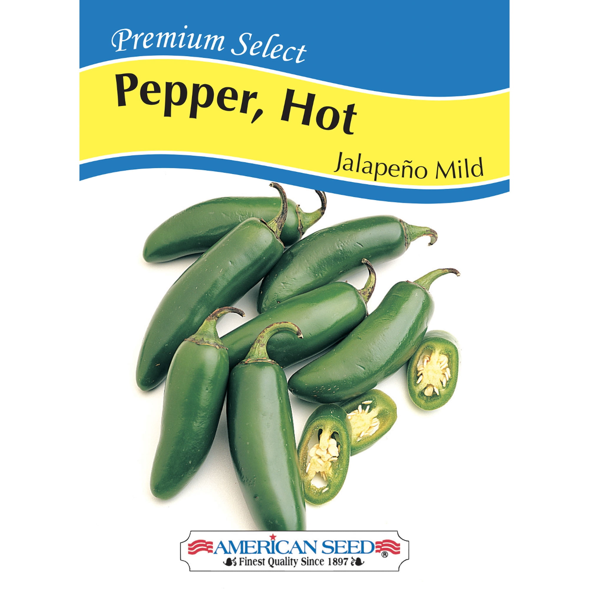 American Seed 100MG Pepper Jalapeno Mild Annual Vegetable, Full Sun