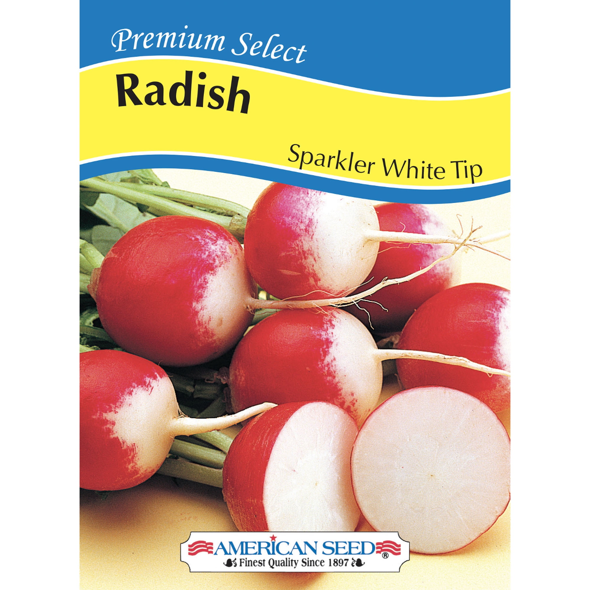 American Seed Radish Sparkler White Tip Annual Vegetabl Seeds Full Sun