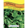 thumbnail image 1 of American Seed Spinach Correnta Annual Vegetable Seeds Full Sun, 1 of 7