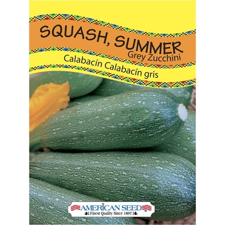 American Seed Squash Grey Zucchini Annual Vegetable Seeds Full Sun