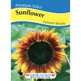 thumbnail image 1 of American Seed Sunflower Autumn Beauty Mixed Colors Annual Flower Seeds Full Sun, 1 of 7