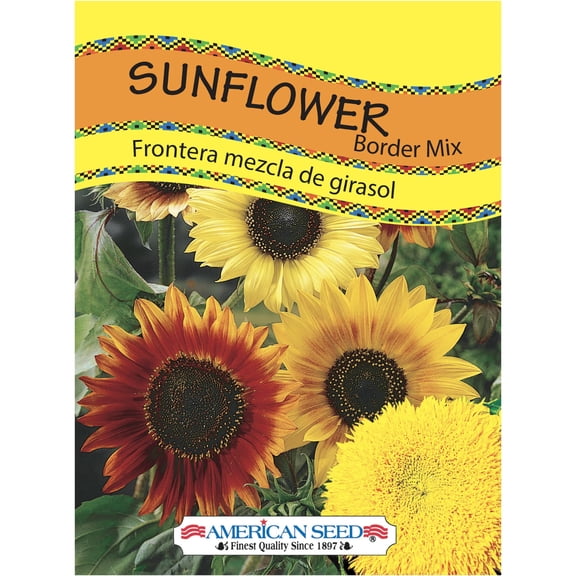 American Seed Sunflower Border Box Mix Annual Flower Seeds Full Sun