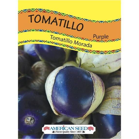 American Seed Tomatillo Purple Annual Vegetable Seeds Full Sun