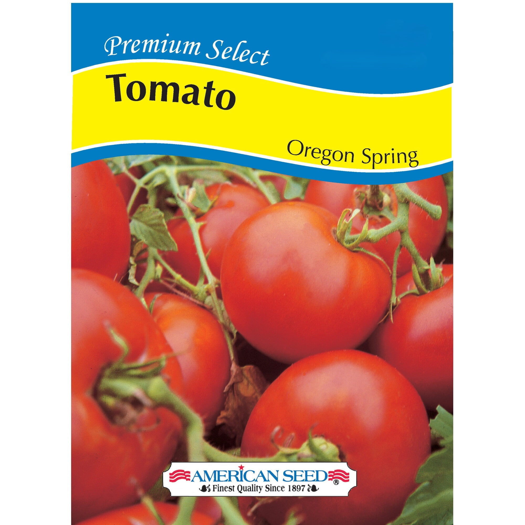 American Seed Tomato Oregon Spring Annual Vegetable Seeds Full Sun