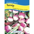 thumbnail image 1 of American Seed Turnip Purple Top White Seeds Annual Vegetables Full Sun, 1 of 7