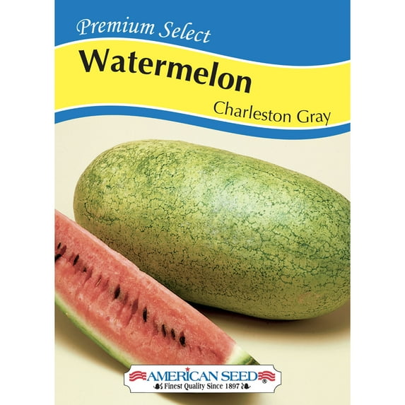 American Seed Watermelon Charleston Gray Annual Fruit Seeds Full Sun
