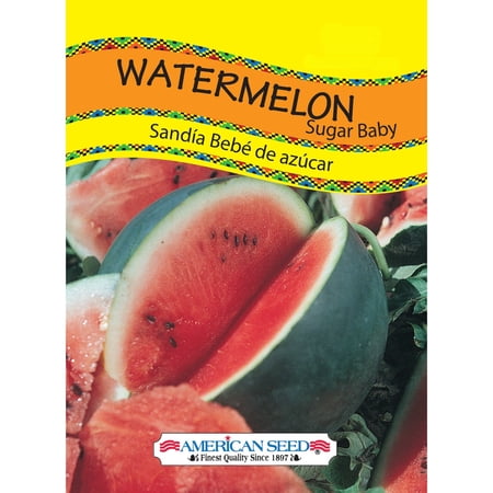 American Seed Watermelon Sugar Baby Annual Fruit Seeds Full Sun