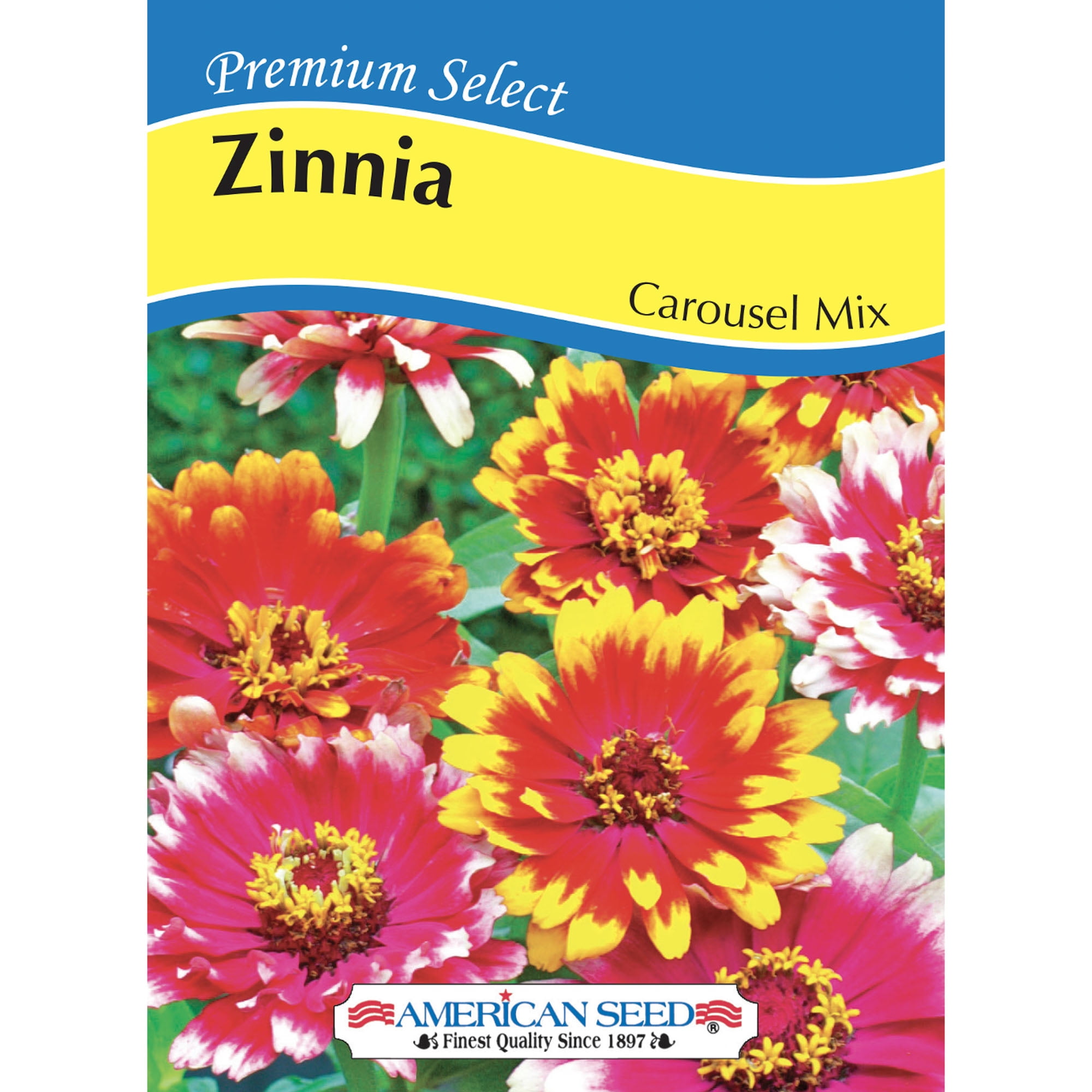 American Seed Zinnia Carousel Mix Annual Flower Seeds Full Sun