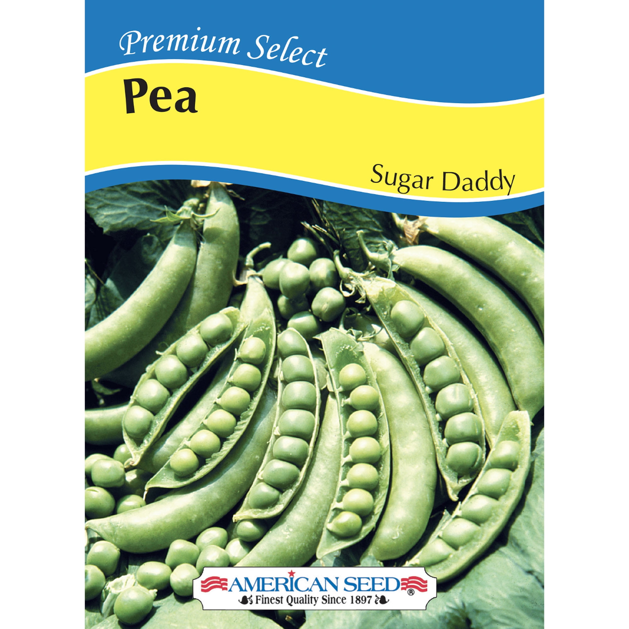 American Seed Pea Sugar Daddy Seeds, Annual Vegetables Full Sun