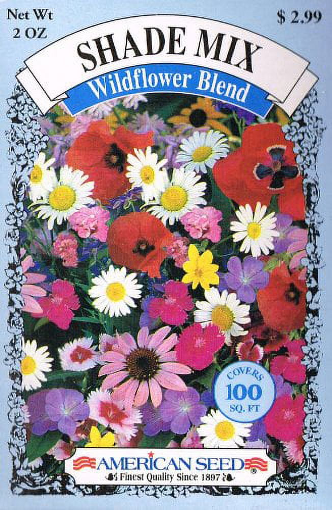 American Seed Wildflower Blend Mix Plant Seeds