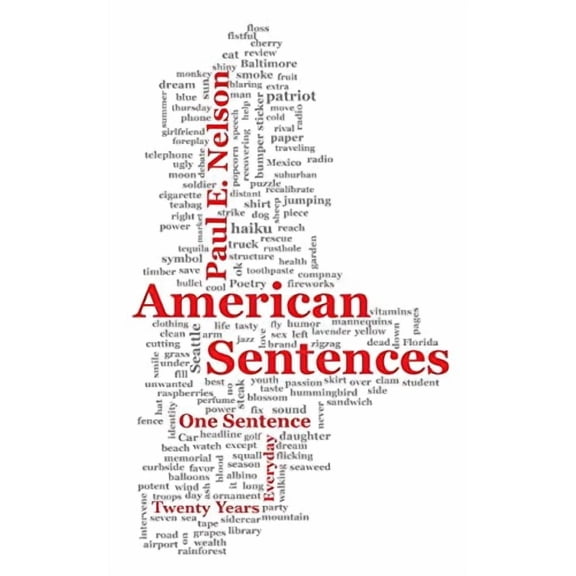 American Sentences: One Sentence, Every Day, Twenty Years (Paperback)