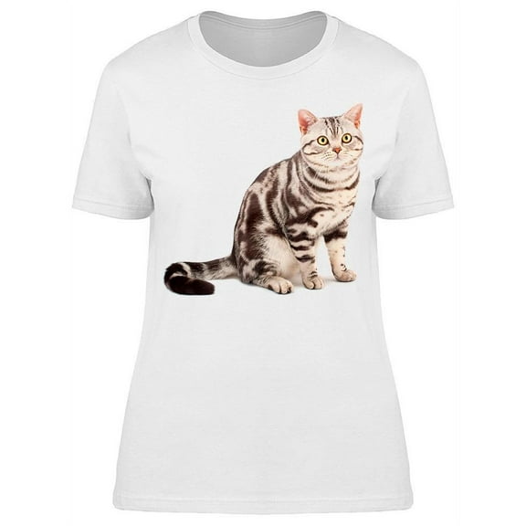 American Shorthair Cat Sits T-Shirt Women -Image by Shutterstock, Female Small