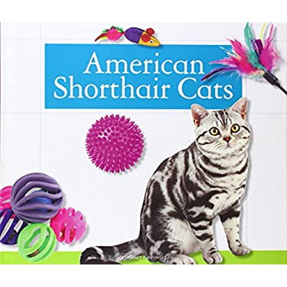 Pre-Owned American Shorthair Cats 9781626873810 /