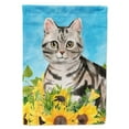 thumbnail image 1 of American Shorthair in Sunflowers Flag Canvas House Size, 1 of 1