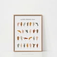 Abc Language Center American Sign Language Poster Alphabet Languageboho Classroom Decor ...