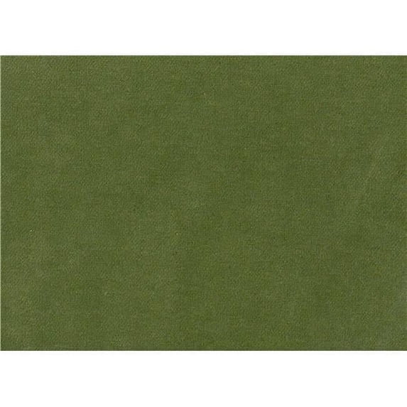 American Silk 17728 56 in. Giorgio Velvet Fabric Cloth, Kiwi