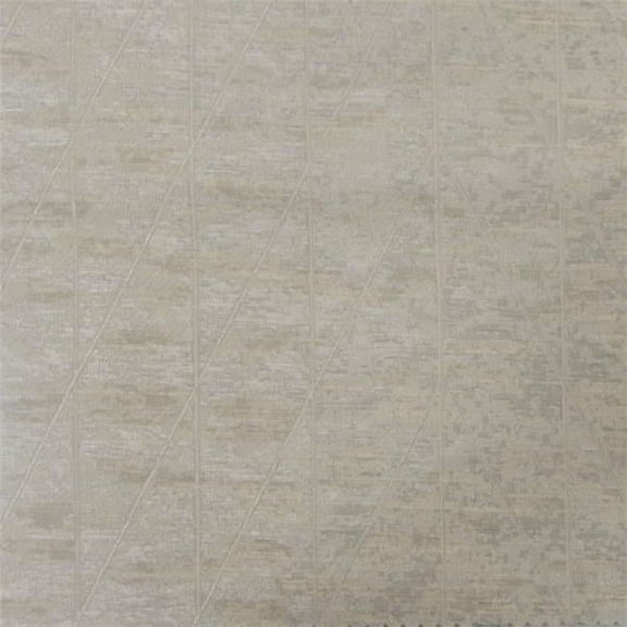 American Silk 21280 54 in. Millenium Plain & Texture Design Silk Fabric Cloth, Champagne