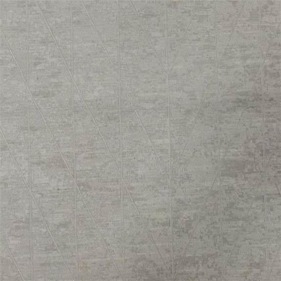 American Silk 21281 54 in. Millenium Plain & Texture Design Silk Fabric Cloth, Ecru
