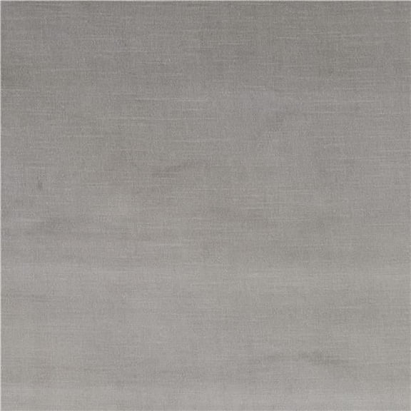 American Silk 5564 55 in. Brussels Beautifuly Curated Velvet Fabric Cloth, Silver
