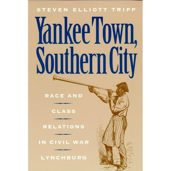 American Social Experience Yankee Town, Southern City: Race and Class Relations in Civil War Lynchburg, Book 14, (Paperback)