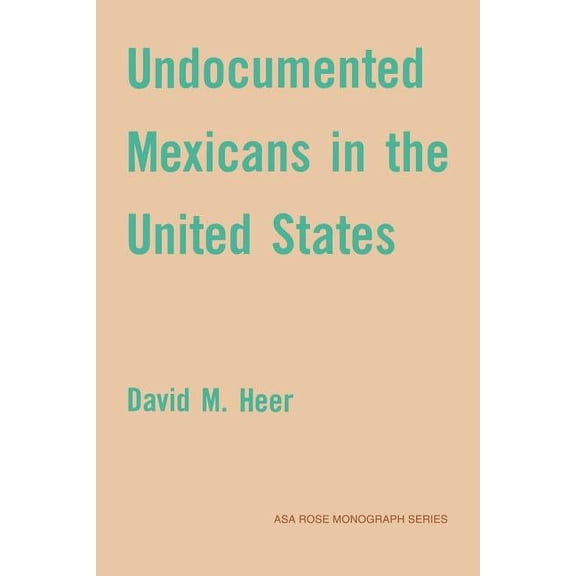 American Sociological Association Rose M Undocumented Mexicans in the USA, (Paperback)